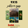 הדפסה 9X13 תמונה דיגיטלית