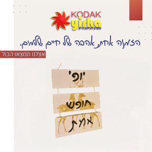 שלטי עץ מעוצבים לבית: שלט עץ עם משפטים מעצימים לקניה אונליין |